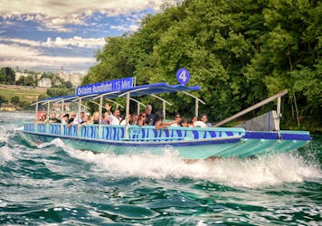 15-minute Rhine Falls boat tour